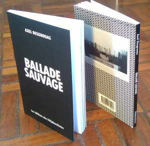 Ballade sauvage © Axel Desgrouas/editions des Veliplanchistes 2017
